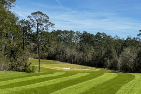 11fairway