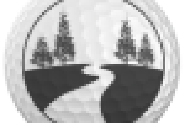 logo-ball smaller